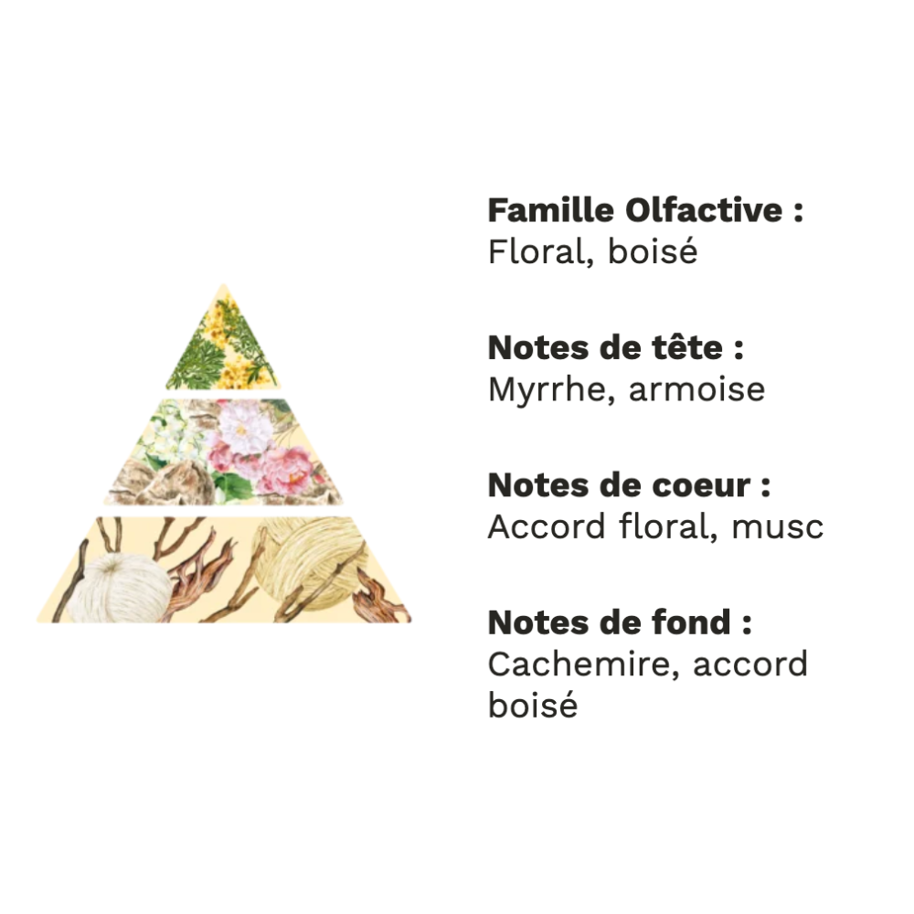 Cachemire & Soie – Élégance douce