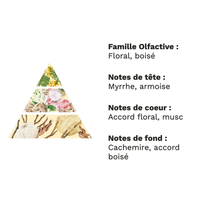 Cachemire & Soie – Élégance douce