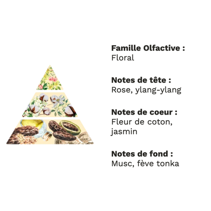 Fleur de Coton – Douceur fraîche